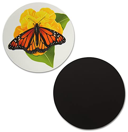 Monarch Butterfly Small Refrigerator Magnets – Novel Merk