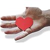Novel Merk Heart 2.5 Inch Flat Refrigerator Magnet (Single Pack)