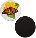 Novel Merk Monarch Butterfly 3 Inch Flat Refrigerator Magnet (Single Pack)