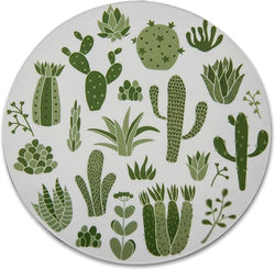 Novel Merk Cactus 3 Inch Flat Refrigerator Magnet (Single Pack)
