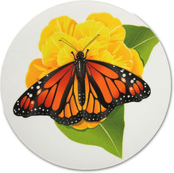 Novel Merk Monarch Butterfly 3 Inch Flat Refrigerator Magnet (Single Pack)