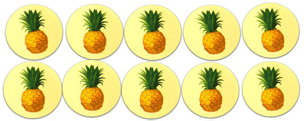 Novel Merk Pineapple Fruit Vinyl Sticker Decals – 2 Inch Round Individual Cut - Waterproof (10 Pack)