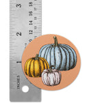Novel Merk Pumpkin Vinyl Sticker Decals – 2 Inch Round Individual Cut - Waterproof (10 Pack)